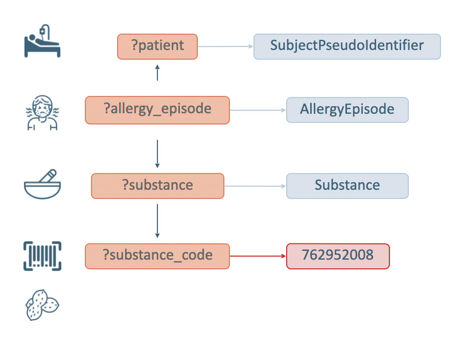 Diagram complementing the SPARQL query for Patients allergic to Peanuts.
